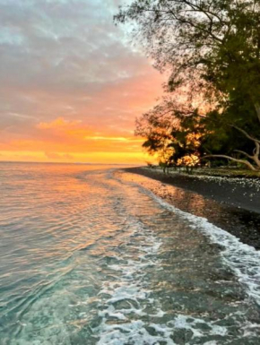 TAHITI - Mango Lodge Hotu